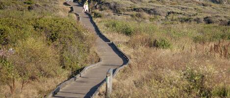 Un paseo marítimo de madera serpentea a través de un paisaje natural con vegetación escasa y algunos edificios a lo lejos.
