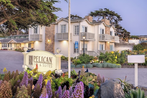 Pelican Inn & Suites
