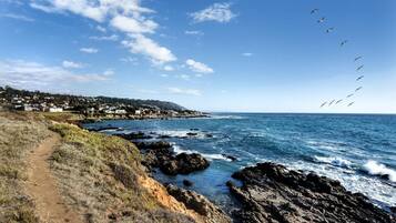 Perto da praia, toalhas de praia
