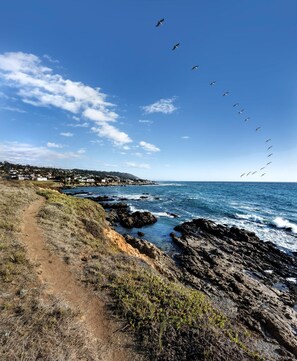 A coastal path with rocky terrain and a view of the ocean.