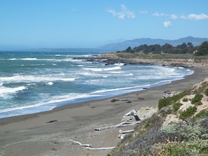 View from property - Sea Otter Inn (Cambria)