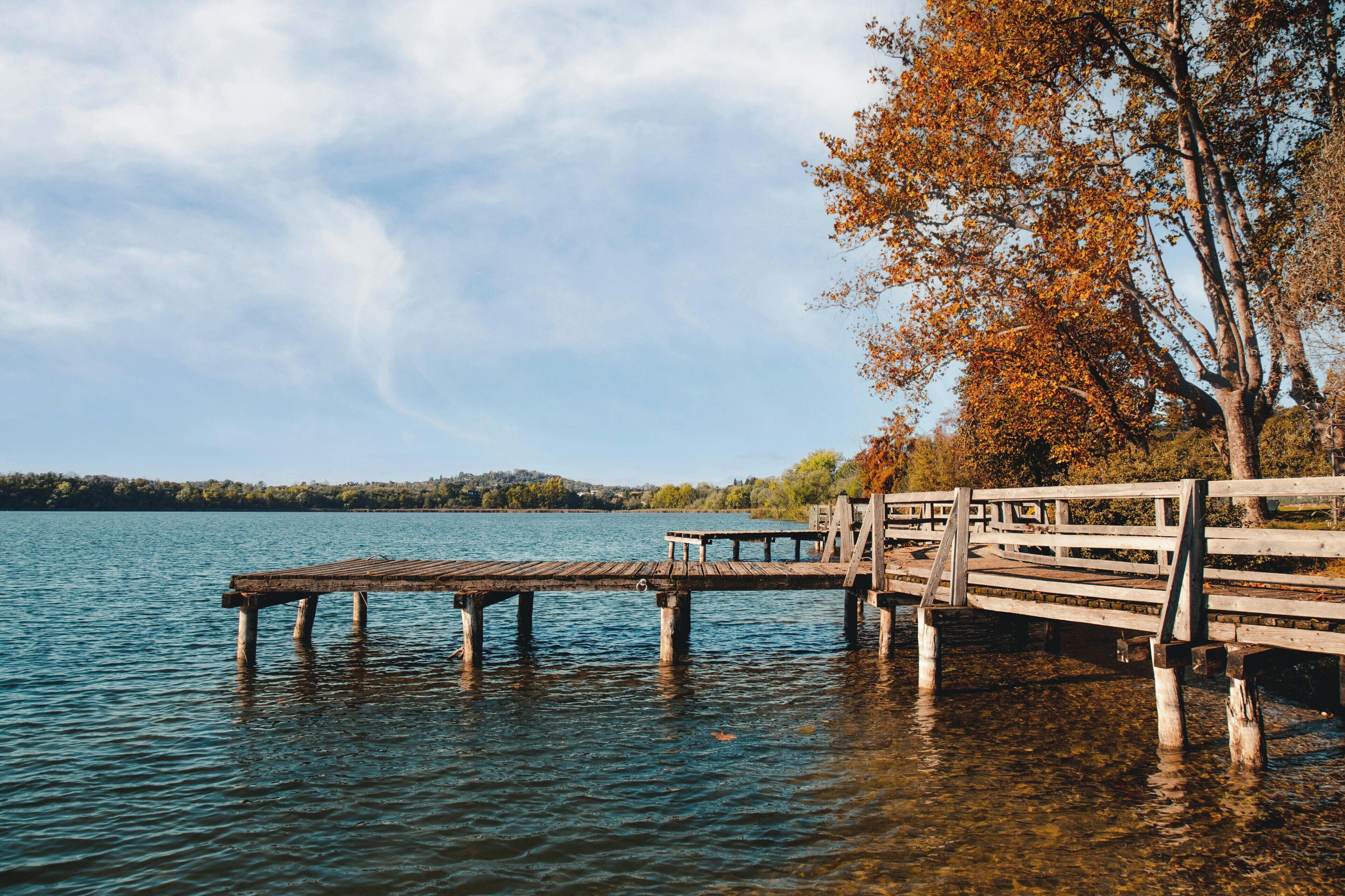 A wooden pier extending into a body of water with a tree on the right.