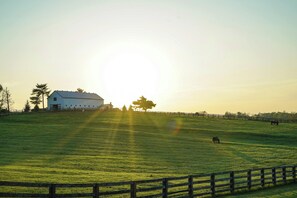 Point of interest - Holiday Inn Express and Suites Morehead by IHG (Morehead)