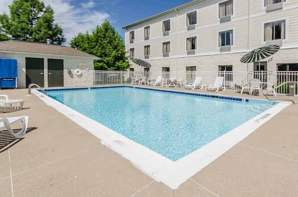 Outdoor pool, pool umbrellas, pool loungers