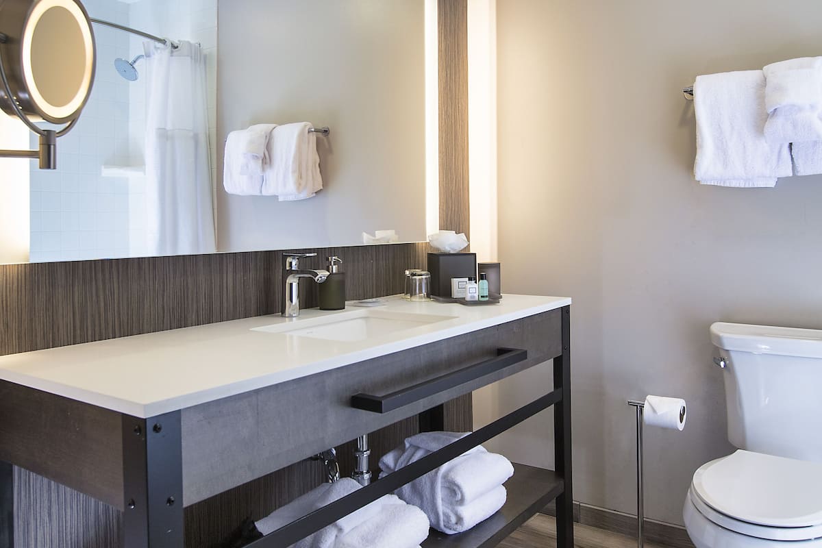 combined shower/bathtub, free toiletries, hair dryer, towels