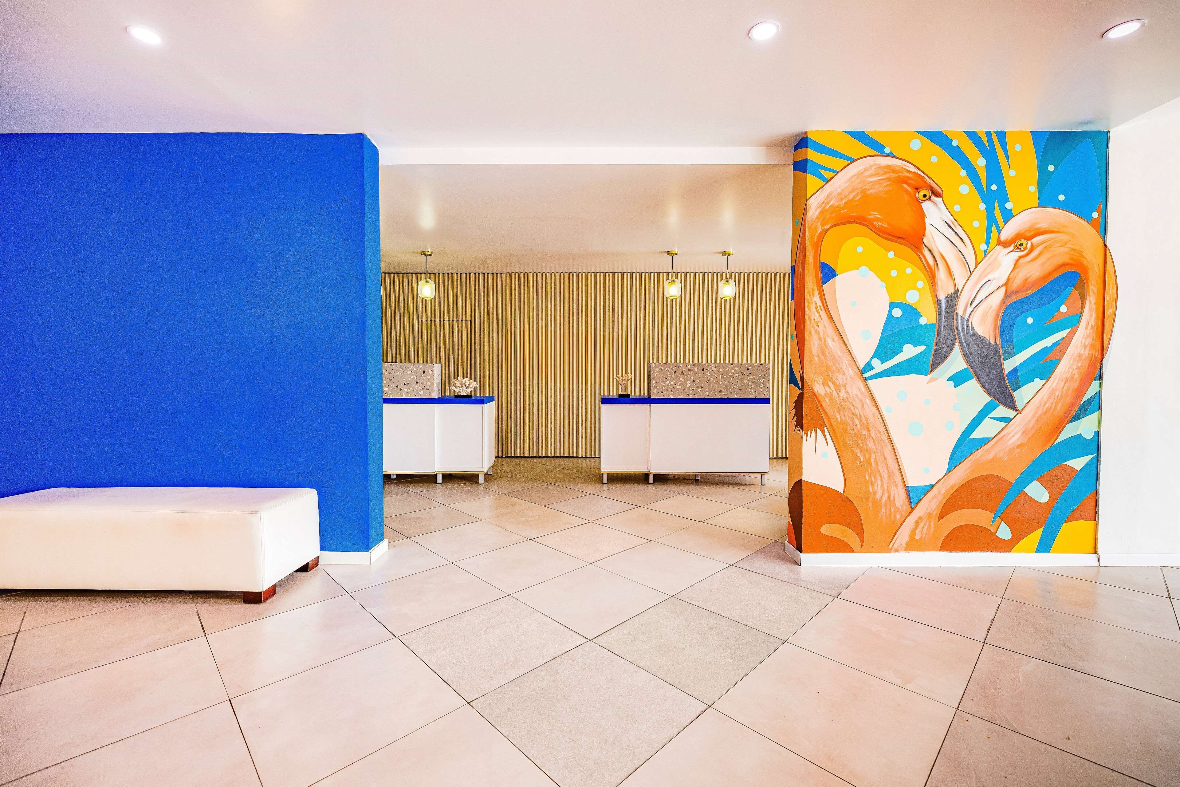 A reception area with a blue wall, a white bench, and a colorful painting of birds.