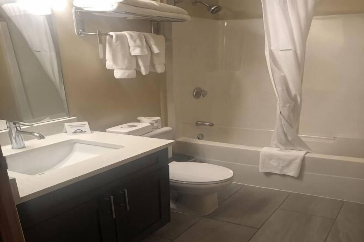 Bathroom | Combined shower/tub, free toiletries, hair dryer, towels