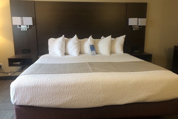 Room, 1 King Bed, Non Smoking | Premium bedding, pillowtop beds, desk, blackout drapes