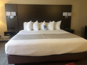 Room, 1 King Bed, Non Smoking | Premium bedding, pillow-top beds, desk, blackout curtains