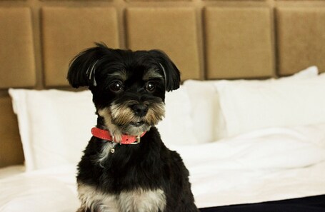Soho Hotel Toronto - Image 48