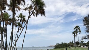 A concrete pathway leading to a bench by a body of water, surrounded by palm trees and grass. - Comfort Suites Clearwater - Dunedin (Clearwater)