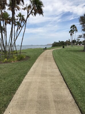 Pet-friendly - Comfort Suites Clearwater - Dunedin (Clearwater)