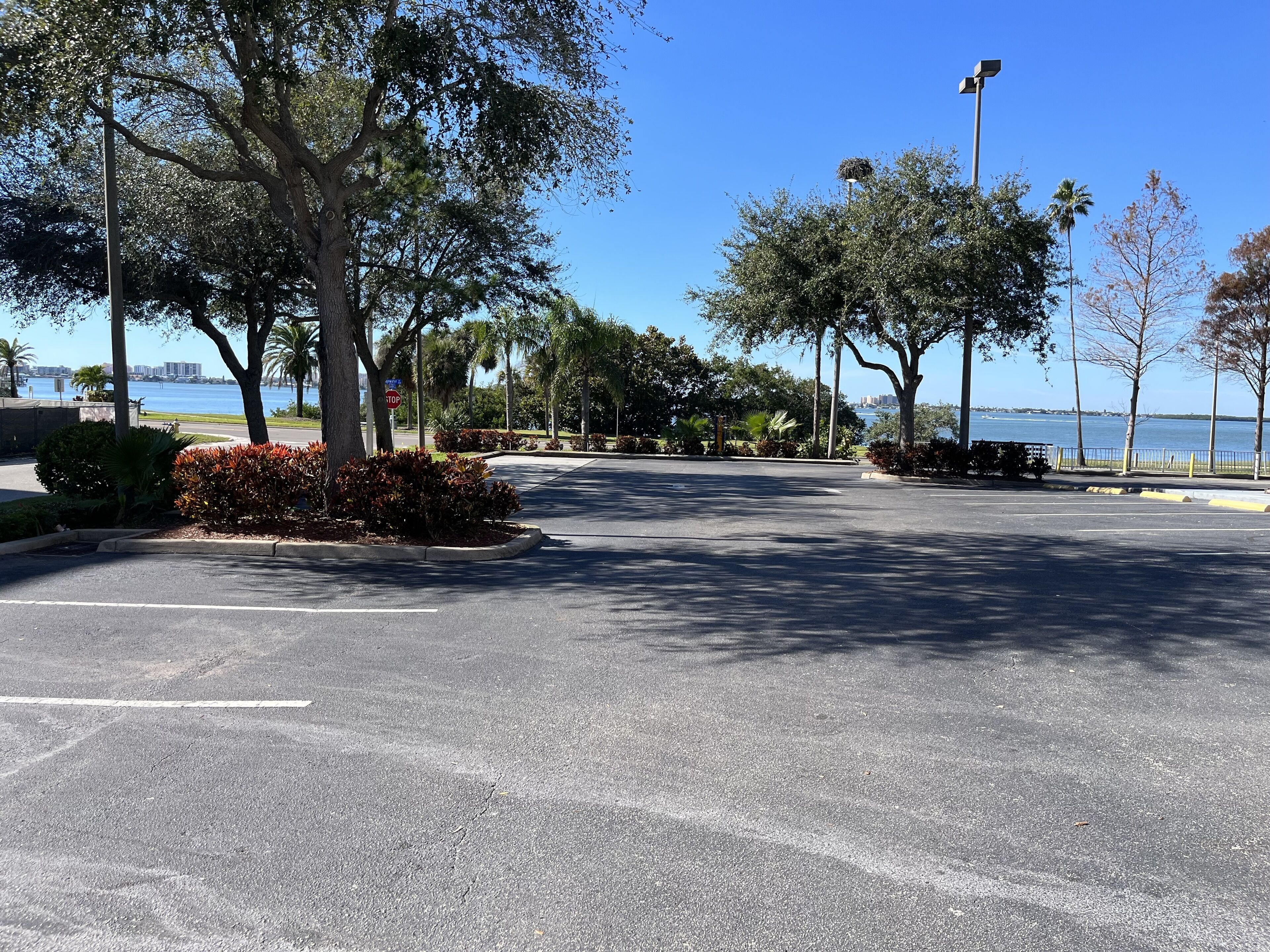 Foto - Comfort Suites Clearwater - Dunedin