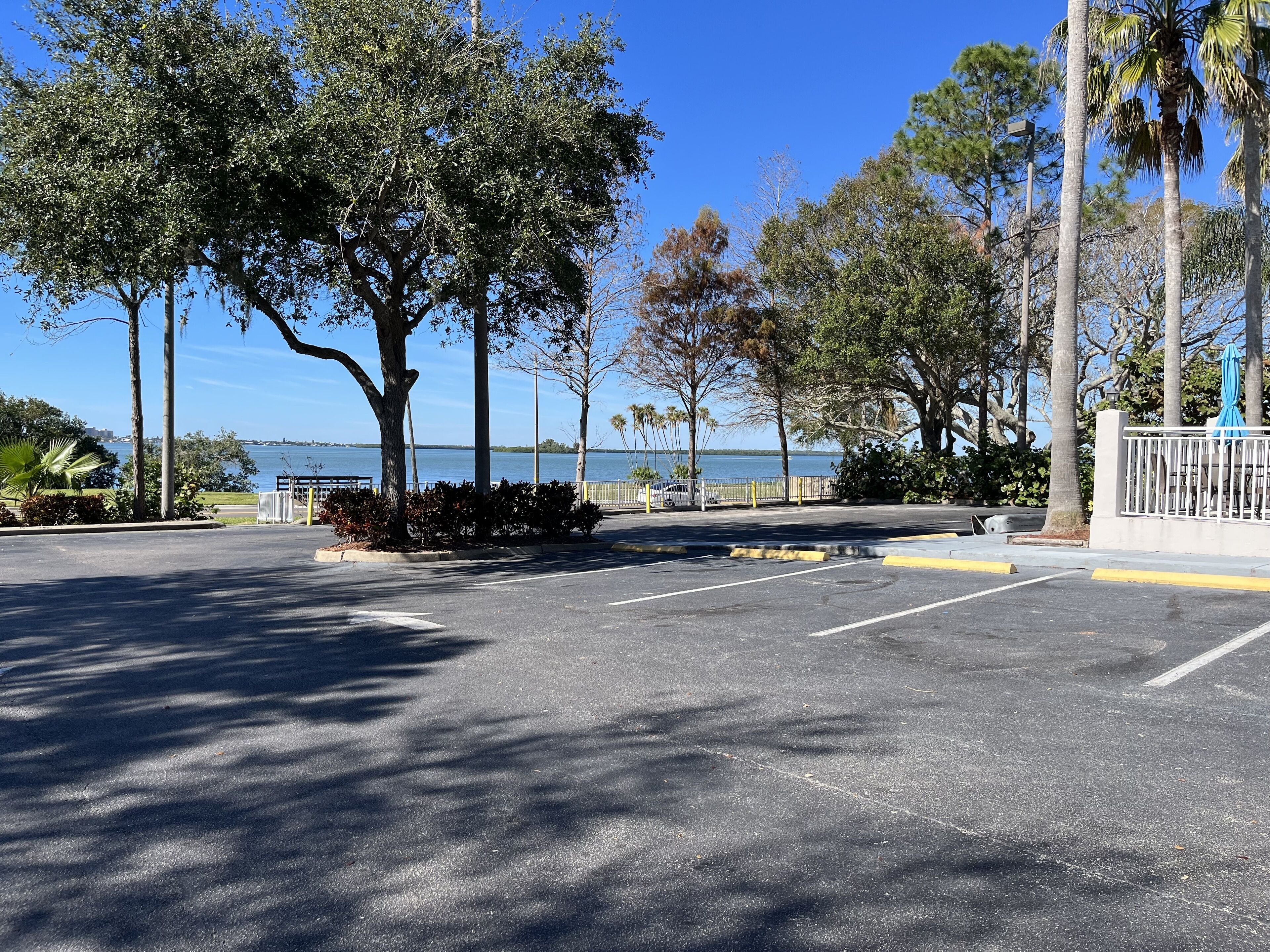 Foto - Comfort Suites Clearwater - Dunedin