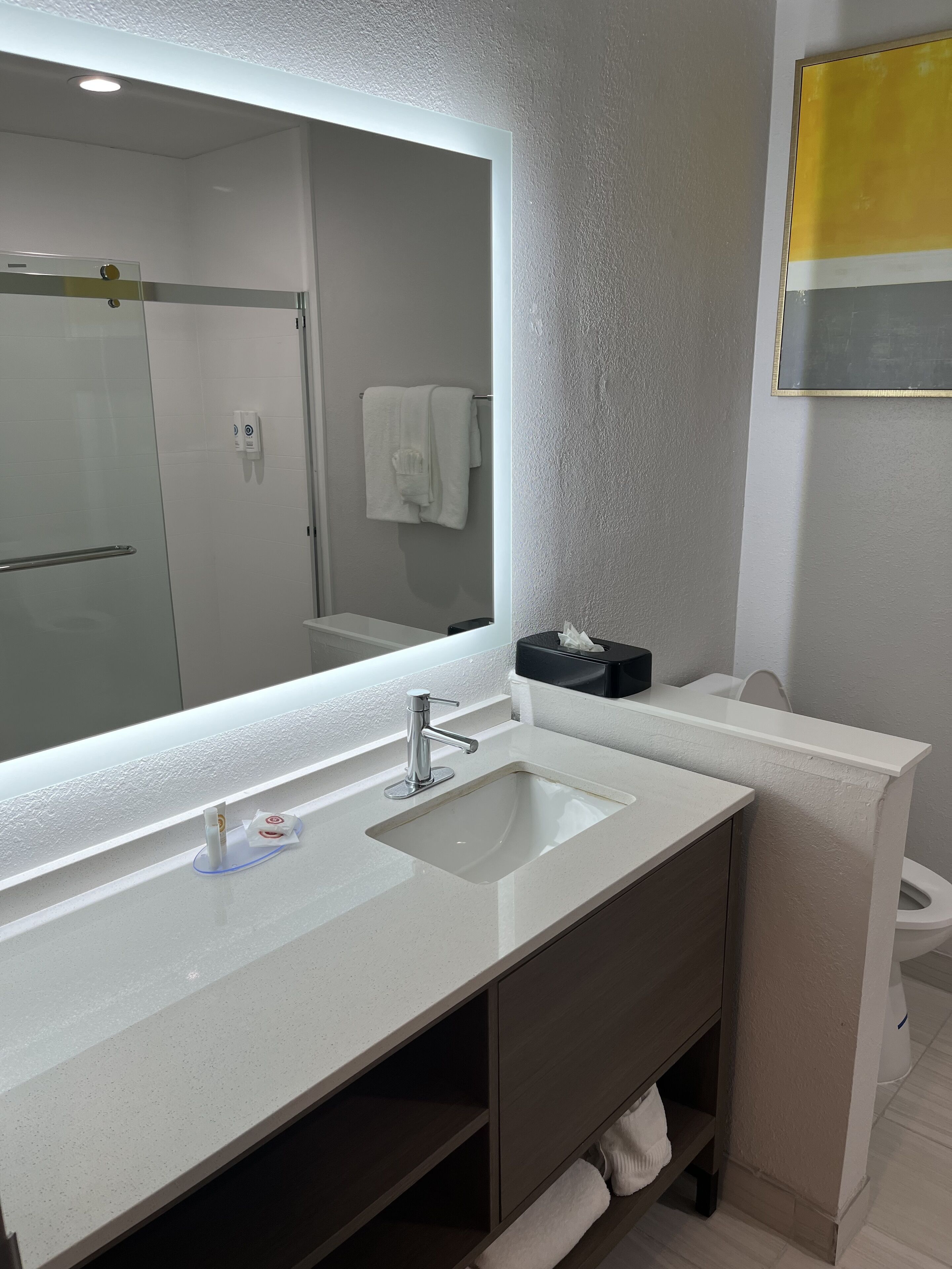 Foto - Comfort Suites Clearwater - Dunedin