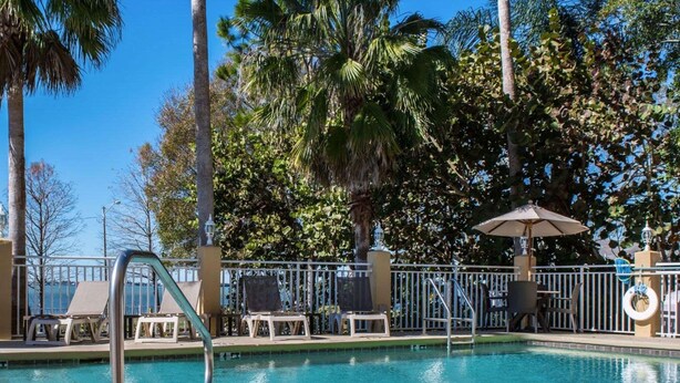 A swimming pool with lounge chairs and umbrellas, surrounded by palm trees and a fence. - Comfort Suites Clearwater - Dunedin (Clearwater)