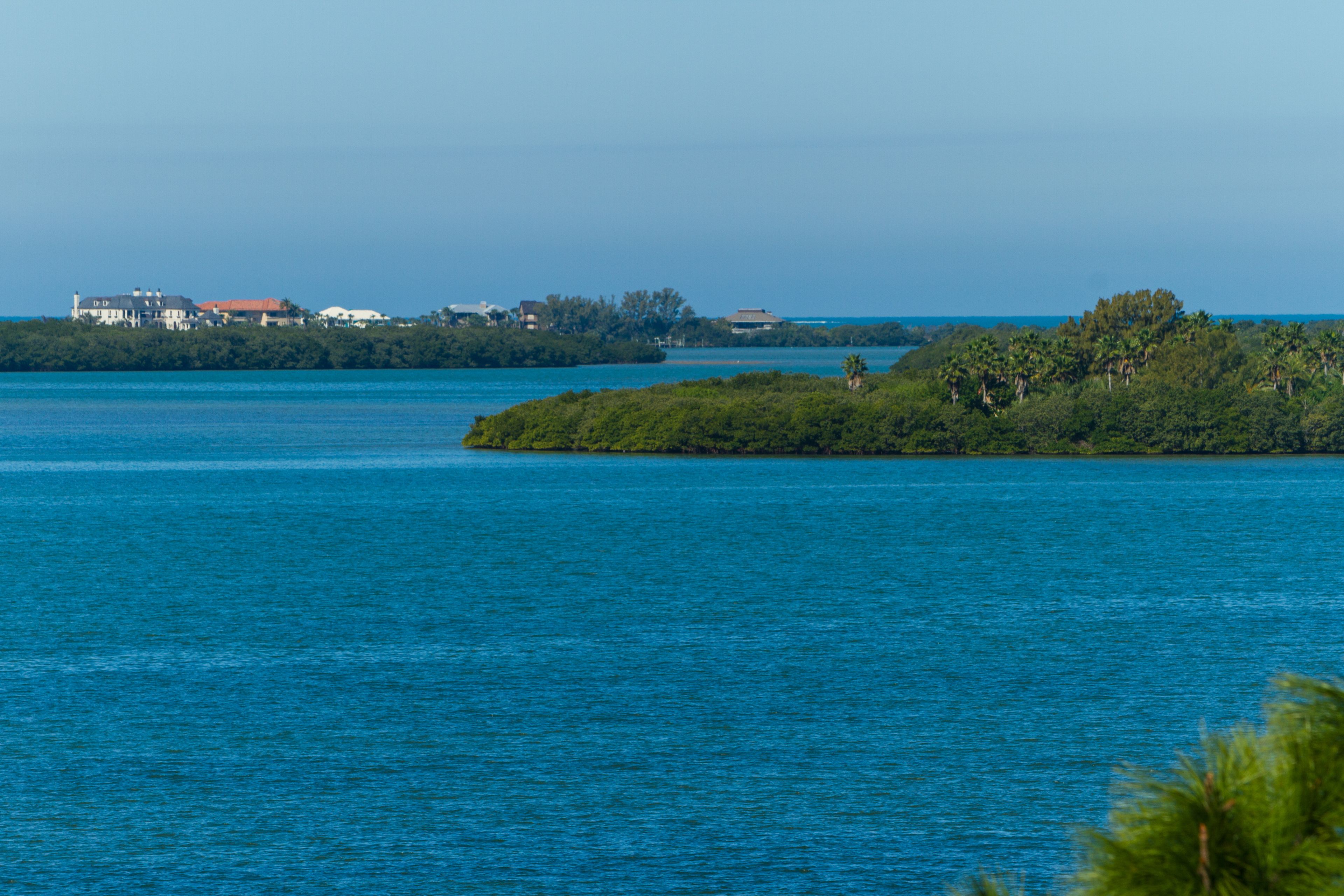 Foto - Comfort Suites Clearwater - Dunedin