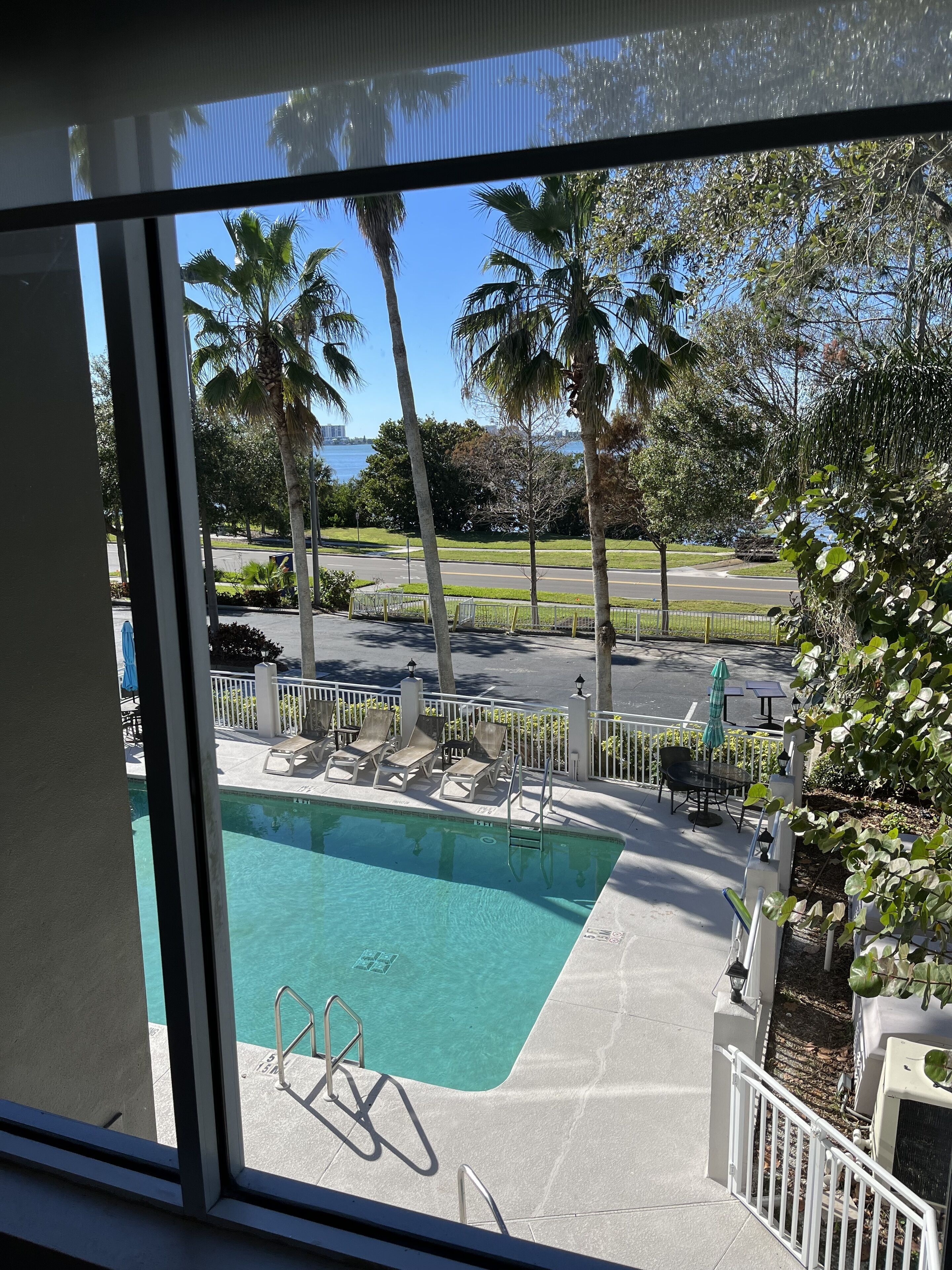 Foto - Comfort Suites Clearwater - Dunedin