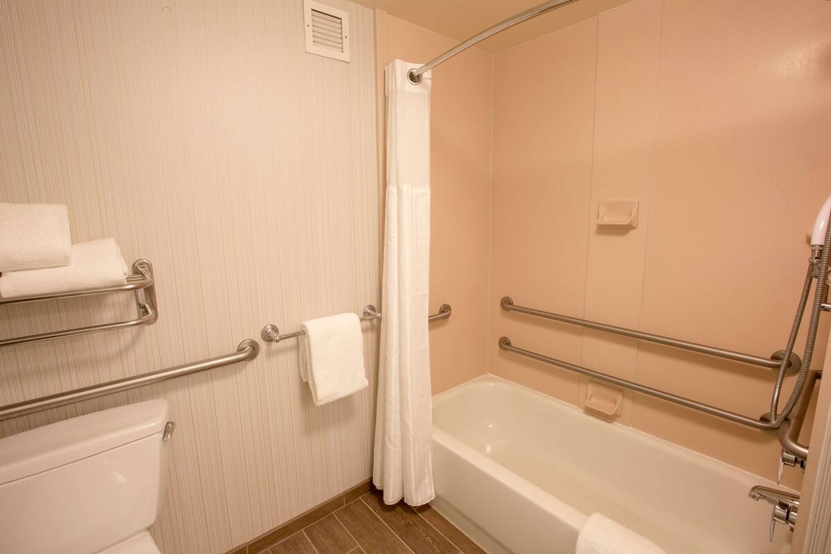 combined shower/bathtub, free toiletries, hair dryer, towels