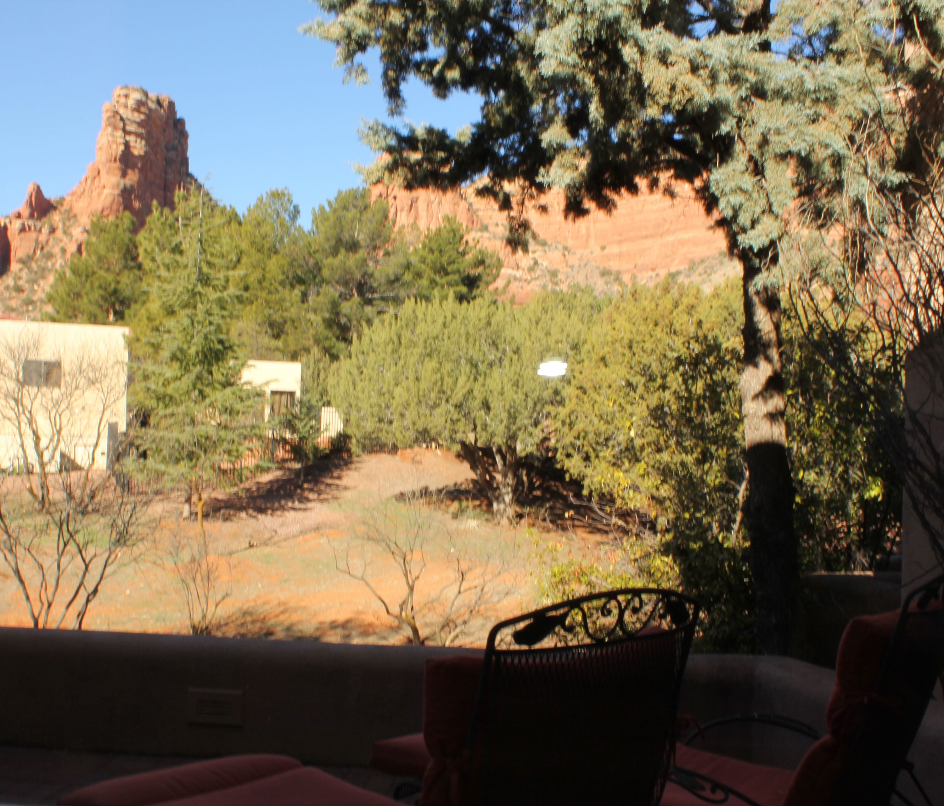 purple lizard villa | view from room