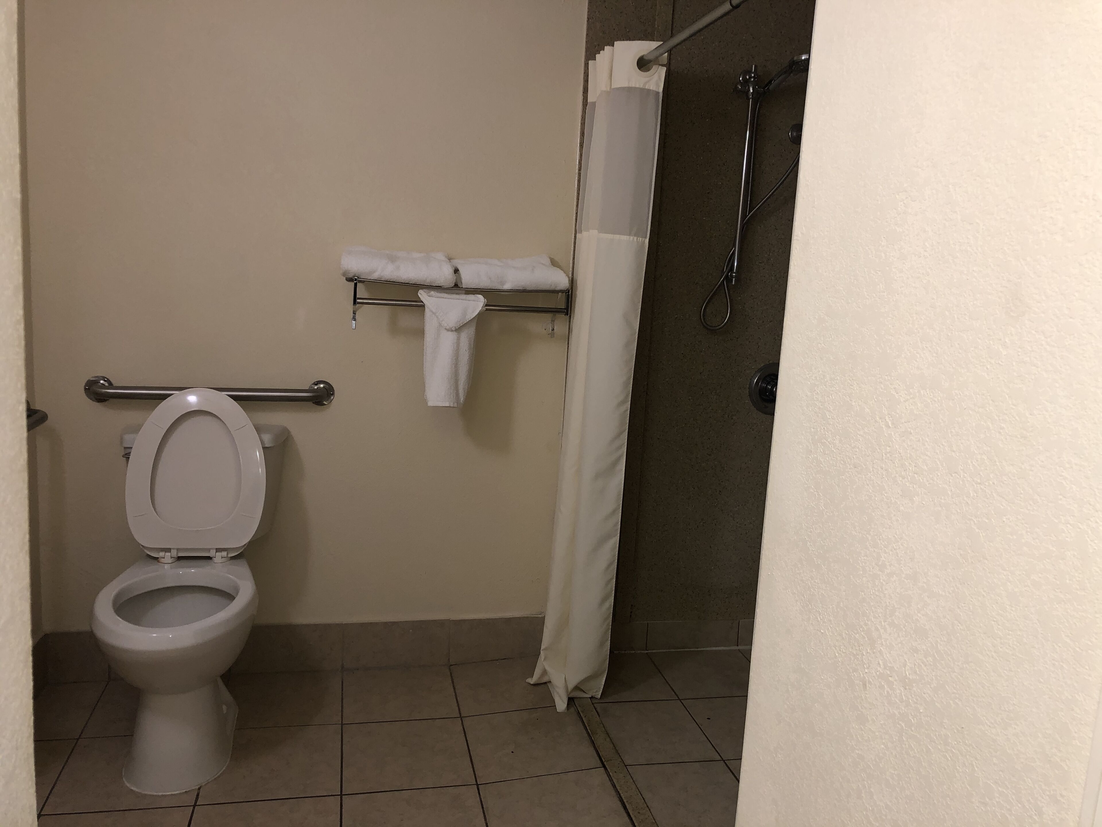 Un bagno con il water, una doccia e un porta asciugamani.