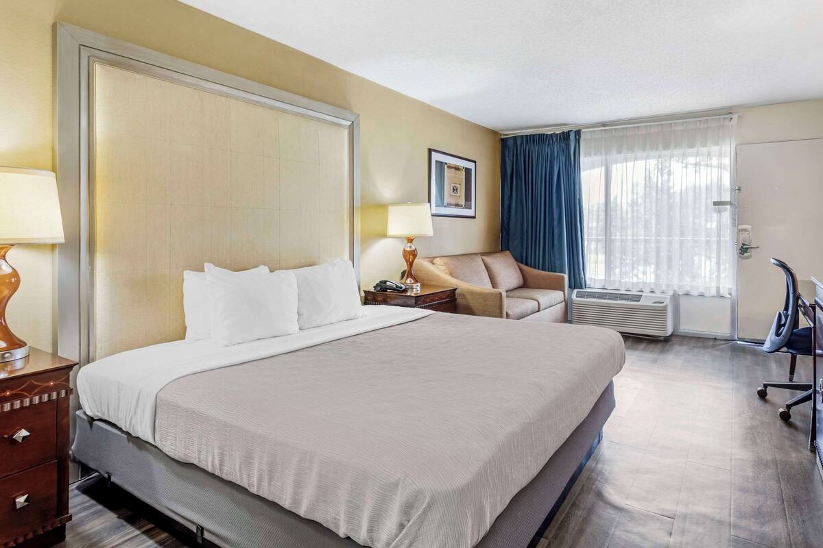 A hotel room with a large bed, a desk, a chair, a nightstand, a lamp, a picture frame, and a window with curtains.