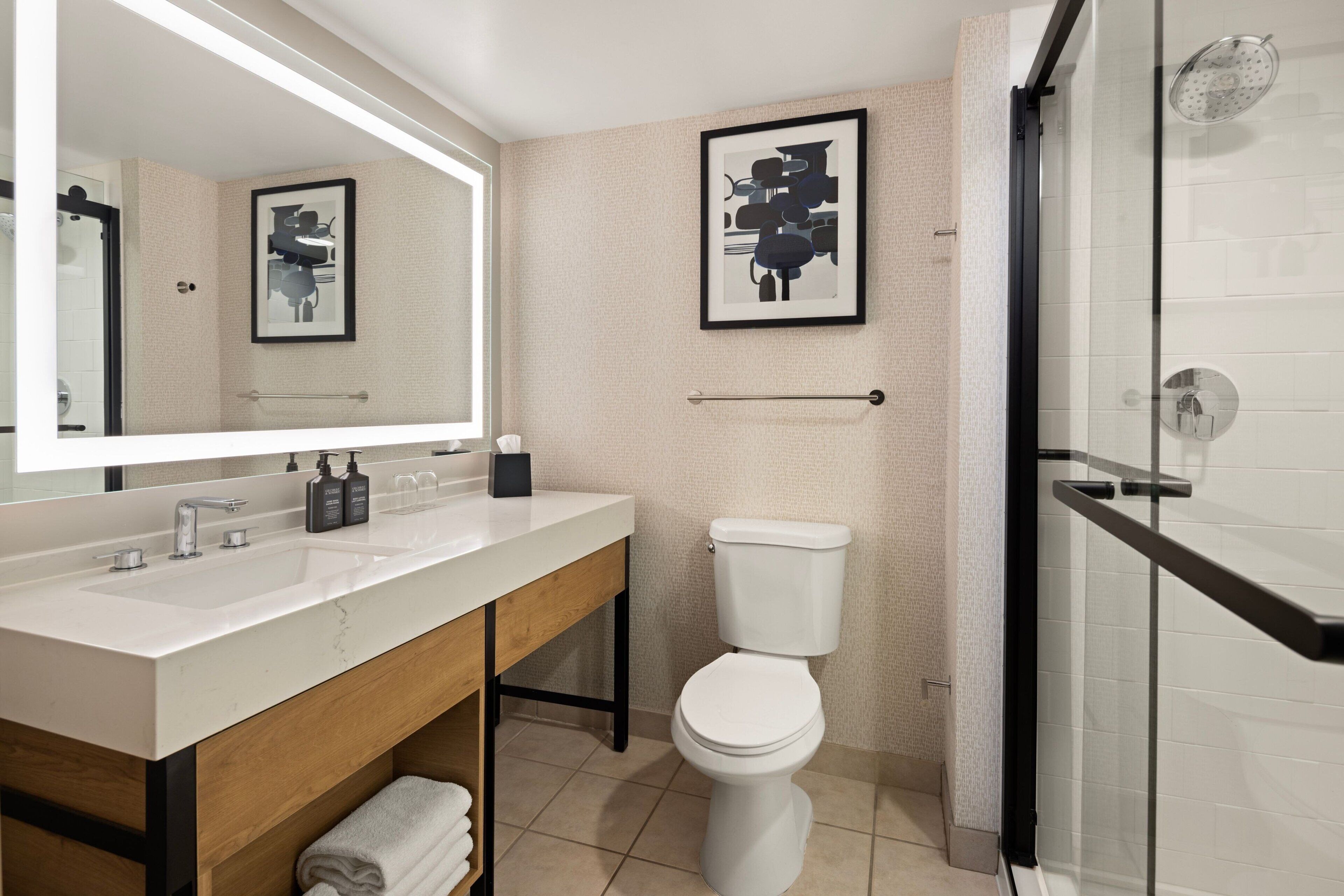 combined shower/bathtub, free toiletries, hair dryer, towels