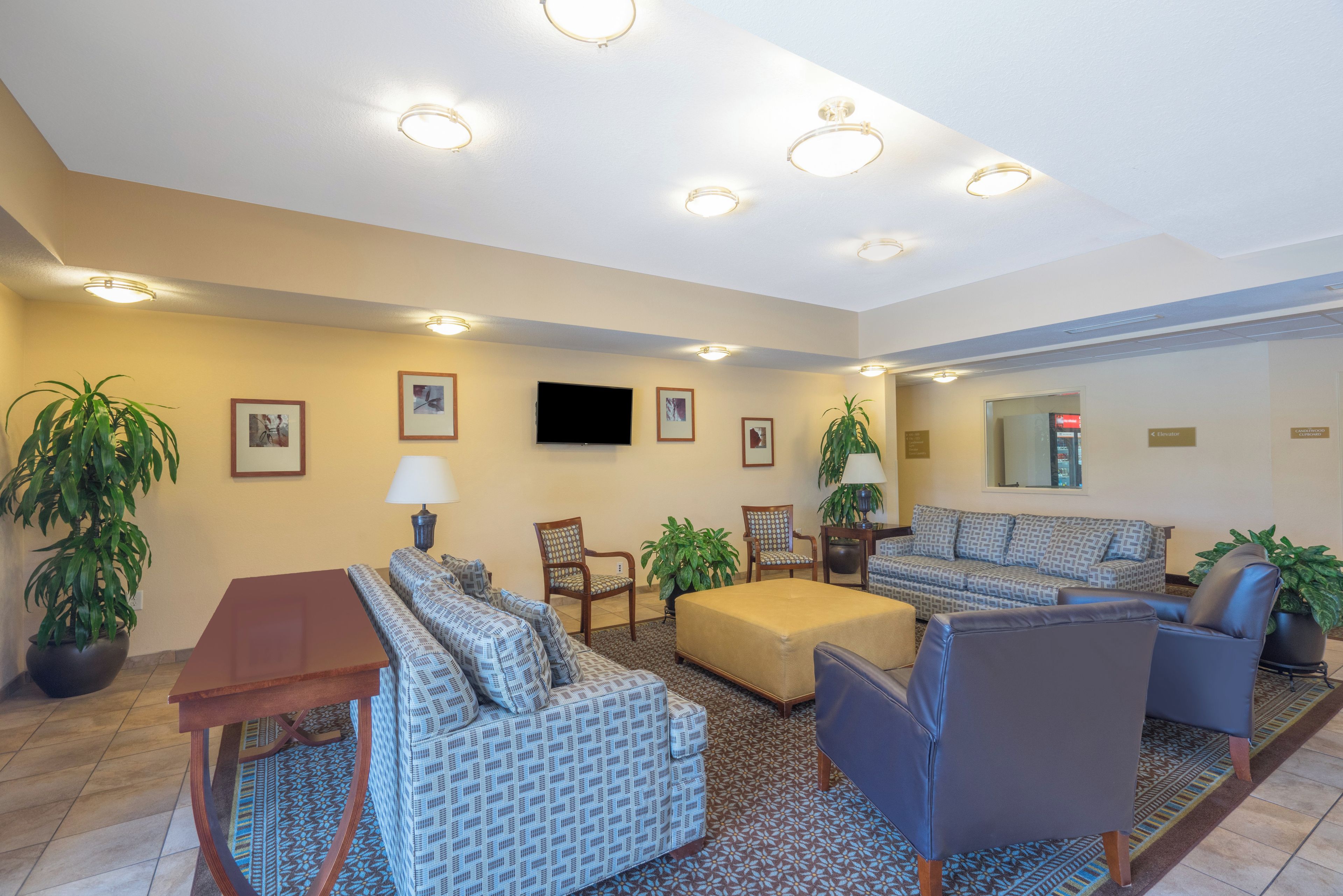 A hotel lobby with a sofa, chairs, a television, and potted plants.