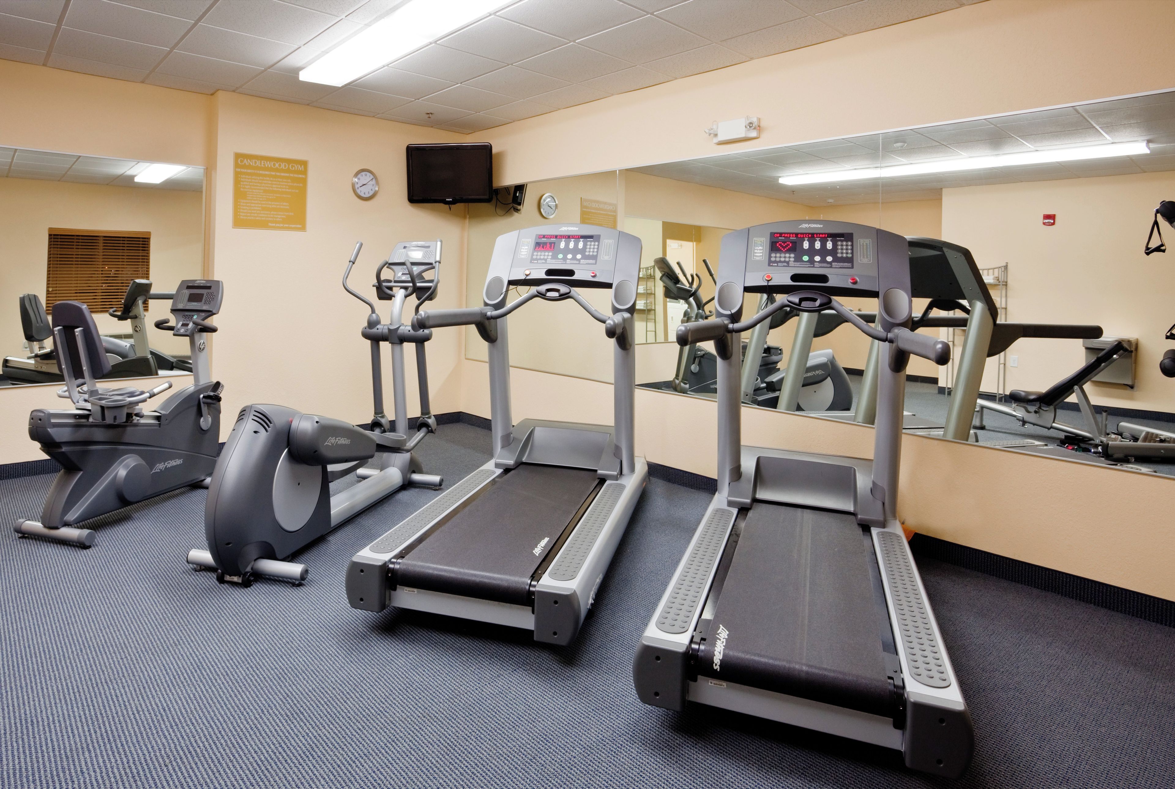 A gym with treadmills, elliptical machines, and a stationary bike.