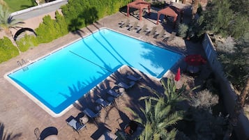 Vista aérea de una piscina con tumbonas y sombrillas, rodeada de palmeras y follaje.