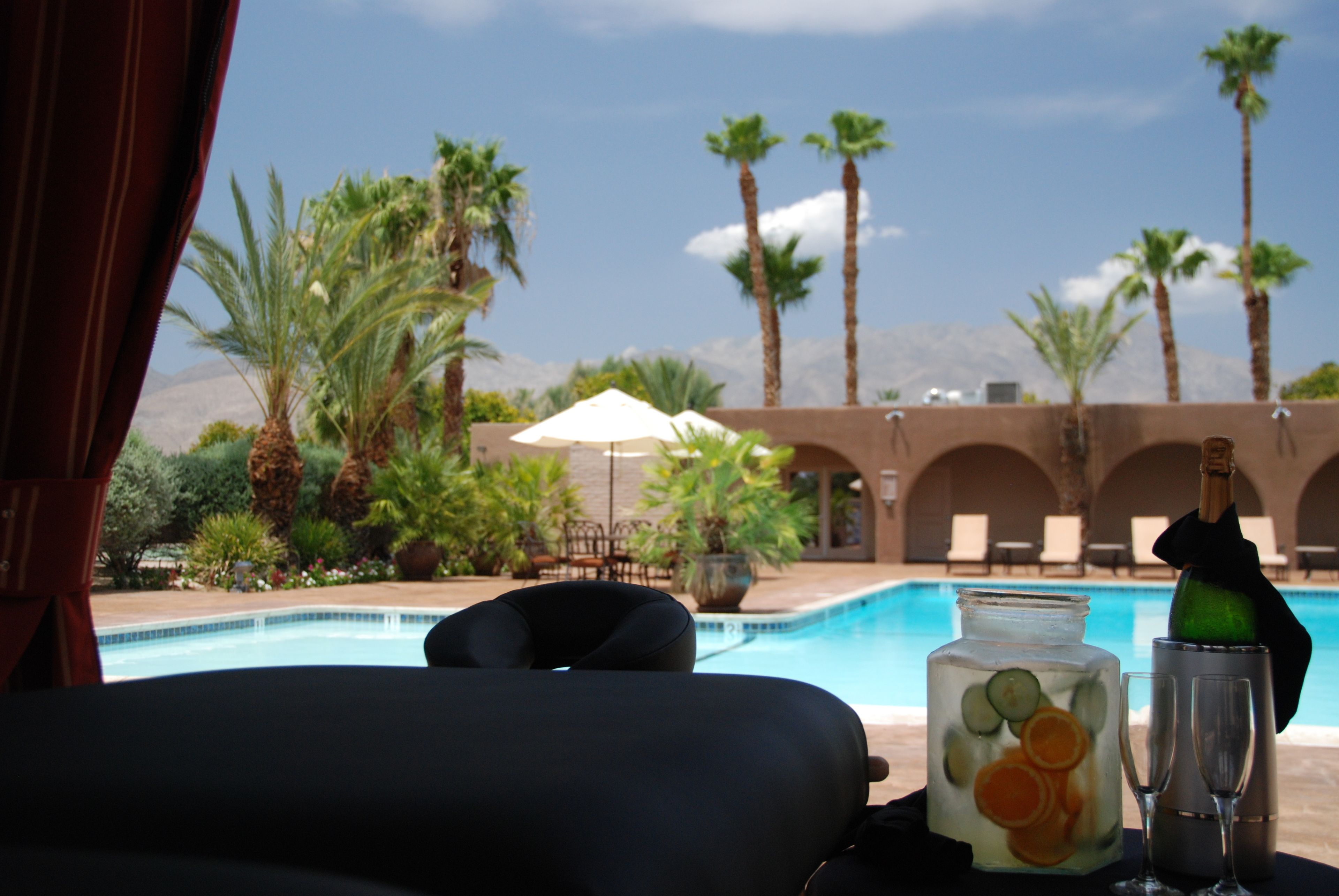 A poolside view with a clear sky, palm trees, and a mountain in the background.