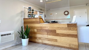 A reception desk with a wooden panel design, a potted plant, a wall-mounted mirror, and a ceiling light fixture. - Snoozinn (Wilsonville)