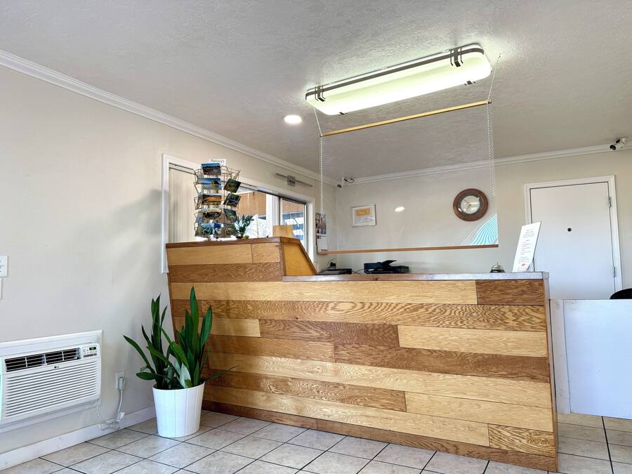 Un comptoir d’accueil avec un panneau décoratif en bois, une plante en pot, un miroir fixé au mur et un luminaire suspendu au plafond.