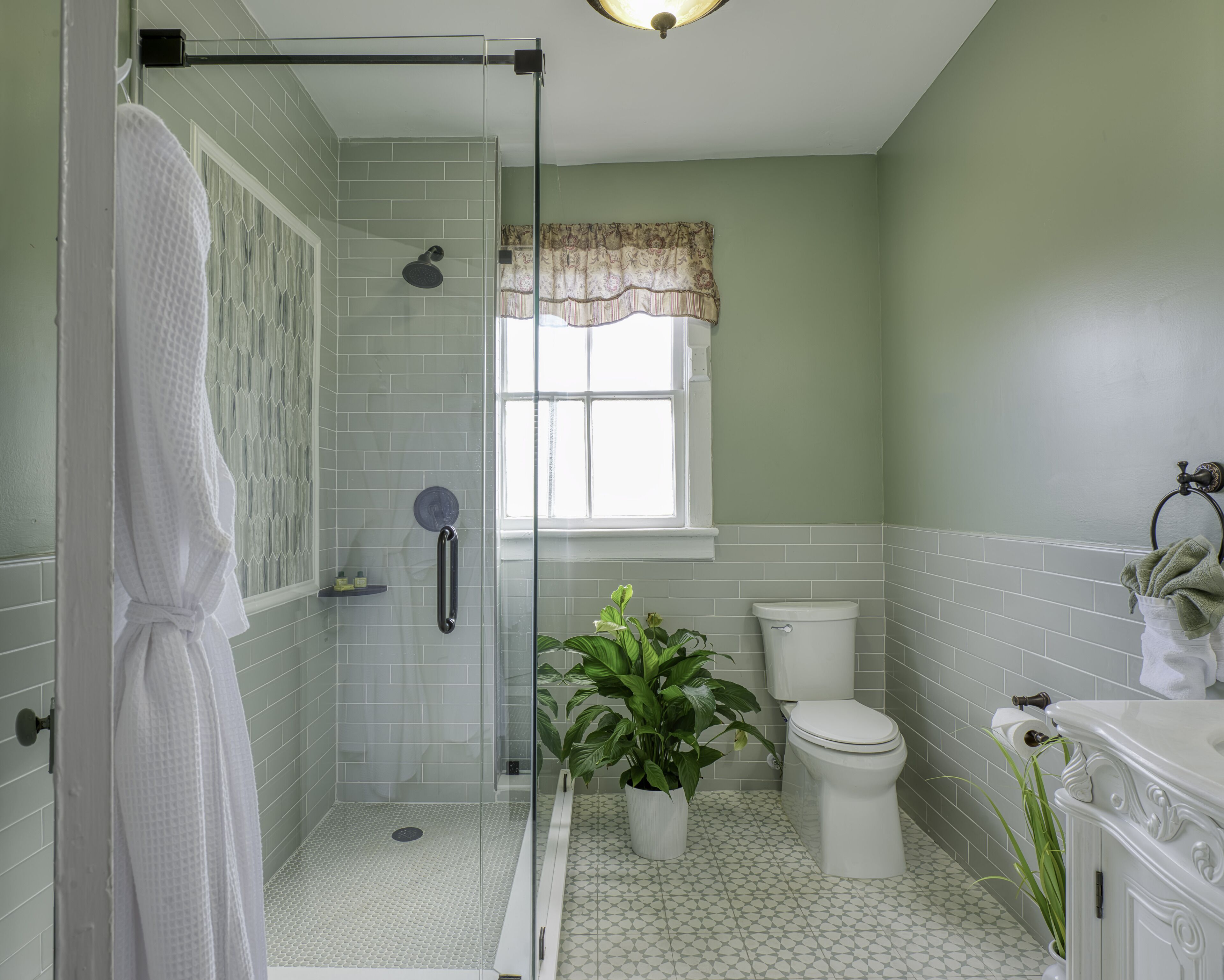 A bathroom with a glass-enclosed shower, a toilet, a sink, and a potted plant.