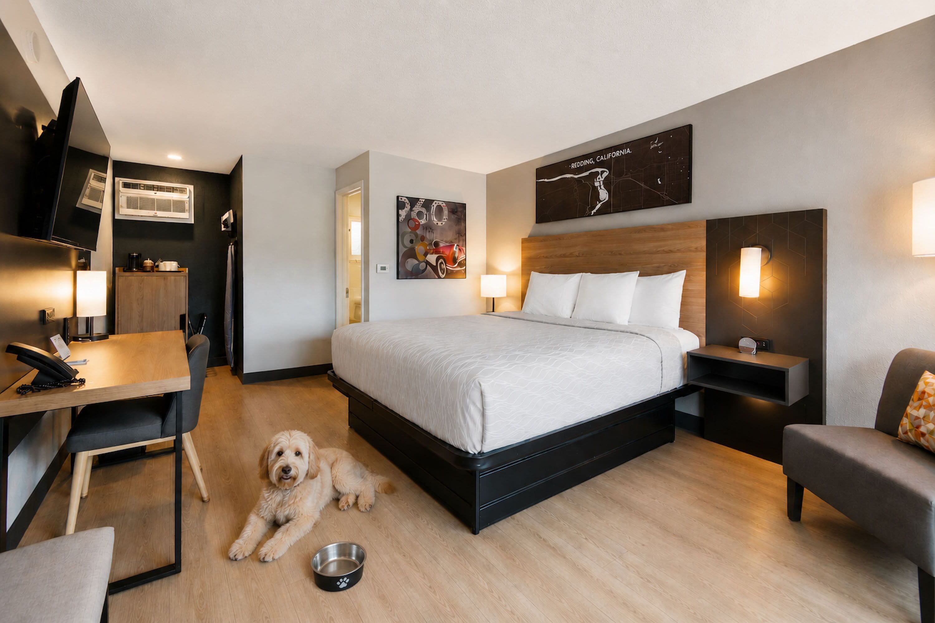 A hotel room with a bed, desk, chair, and a dog.
