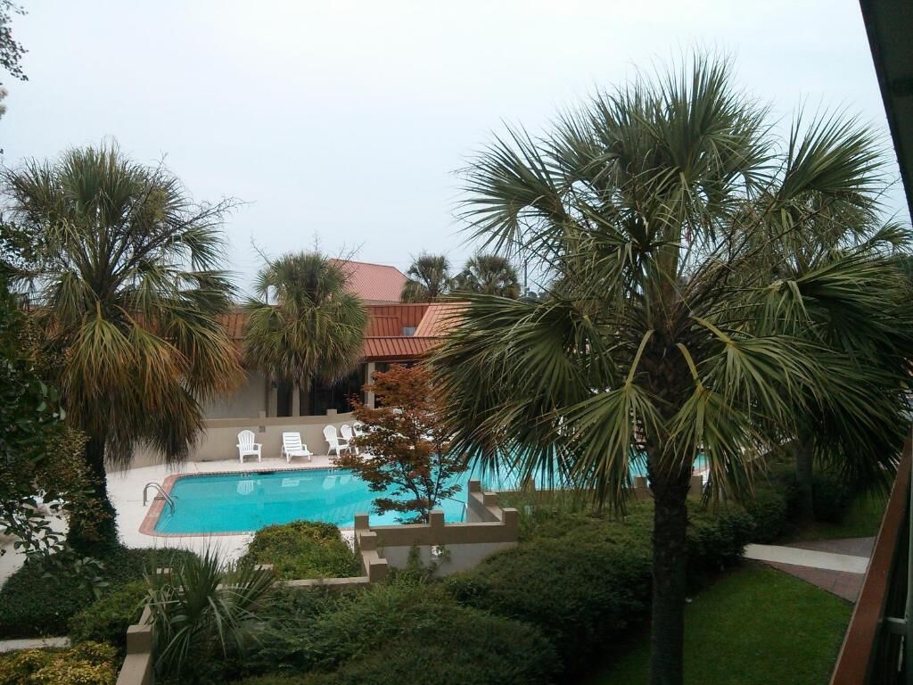 A swimming pool with lounge chairs, surrounded by palm trees and greenery.