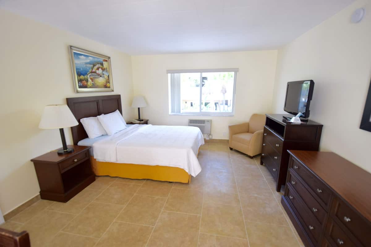 A bedroom with a bed, a TV, a dresser, a chair, a window, and a painting on the wall.