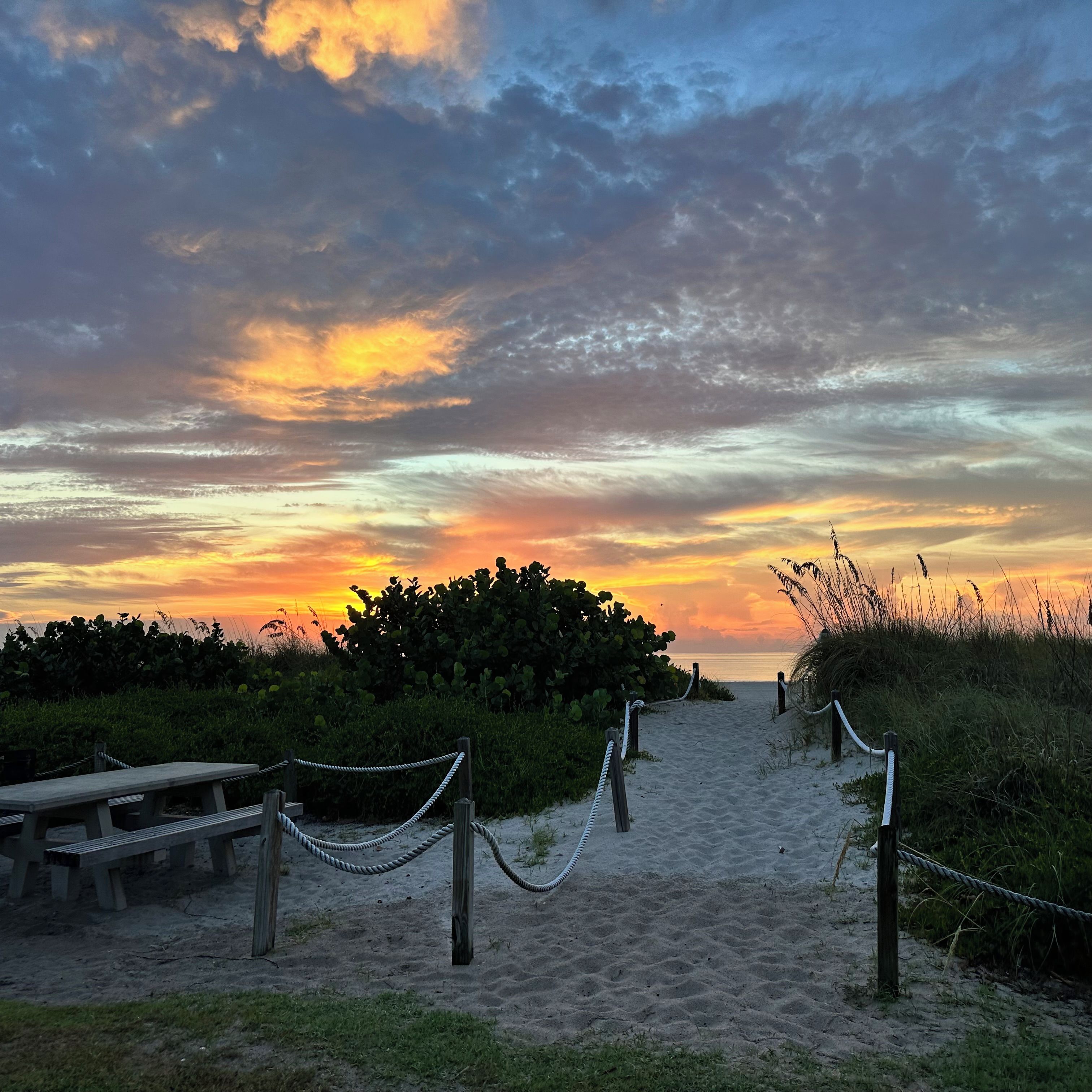 A beach path with a wooden bench and rope barrier, leading to the ocean.
