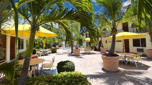 An outdoor patio area with yellow umbrellas, palm trees, and outdoor seating.