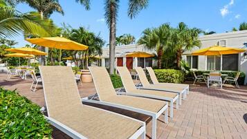 Un espace aménagé au bord de la piscine, avec des chaises longues et des parasols, entouré de palmiers et bordé d’un bâtiment à la façade de couleur claire.