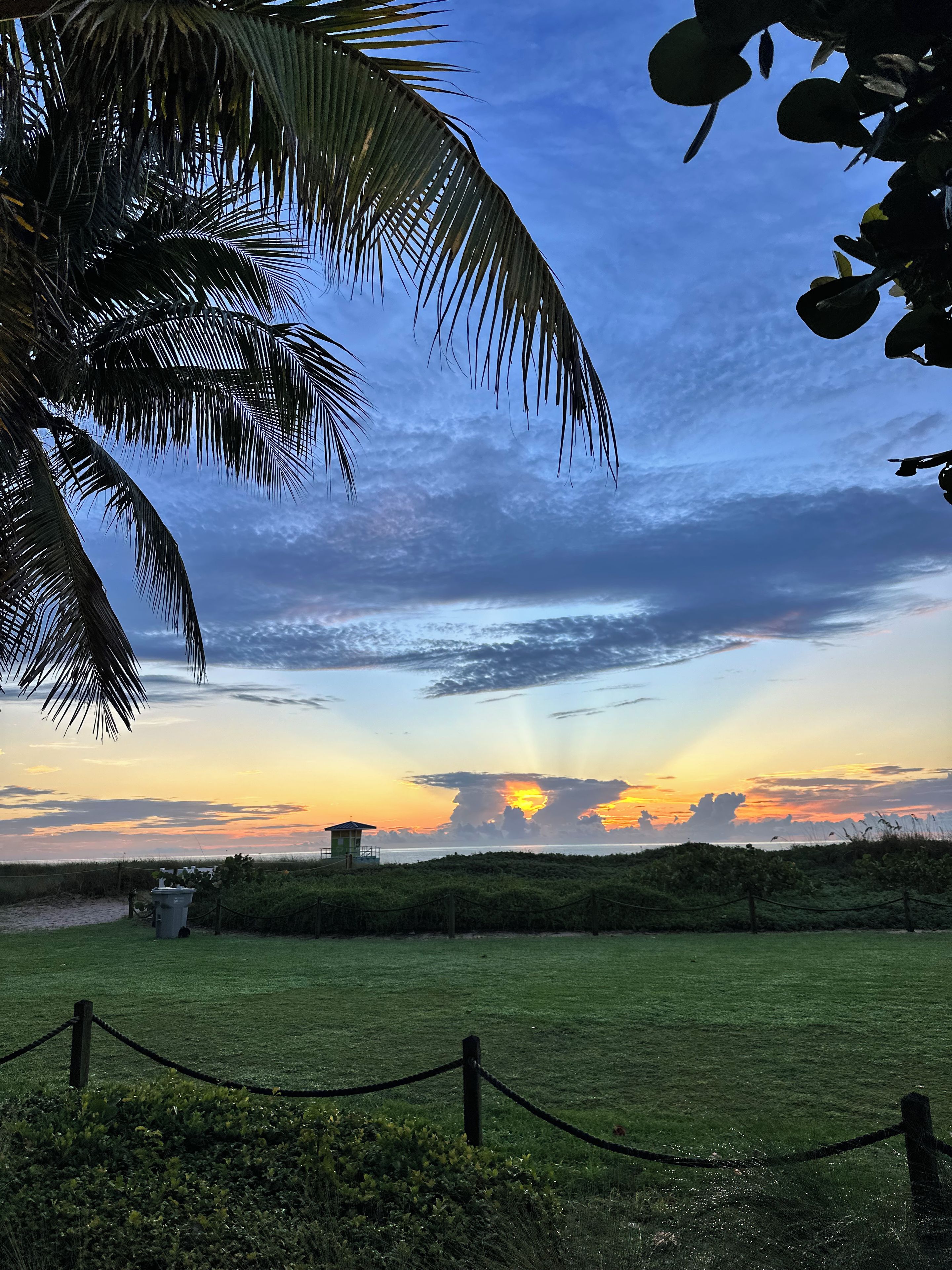 Ein von einer Hecke umgebenes, grünes Gelände mit Blick auf den Sonnenuntergang über dem Wasser, Palmen und einer kleinen Struktur.