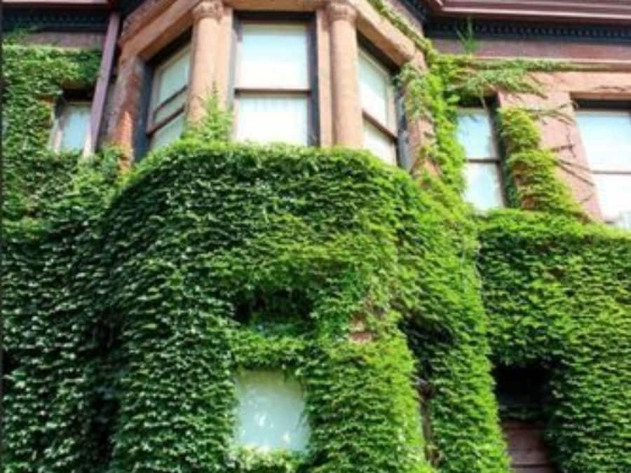 Vista frontal de la propiedad