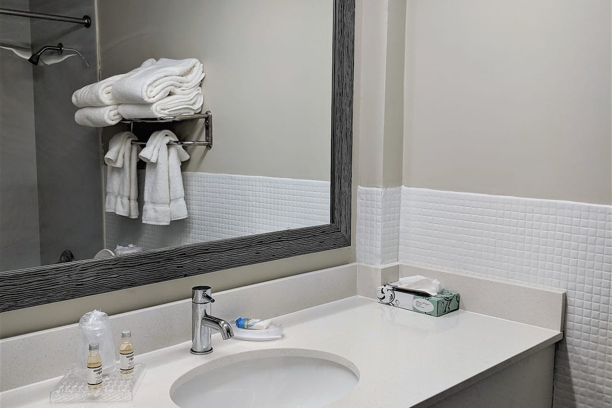 combined shower/bathtub, free toiletries, hair dryer, towels