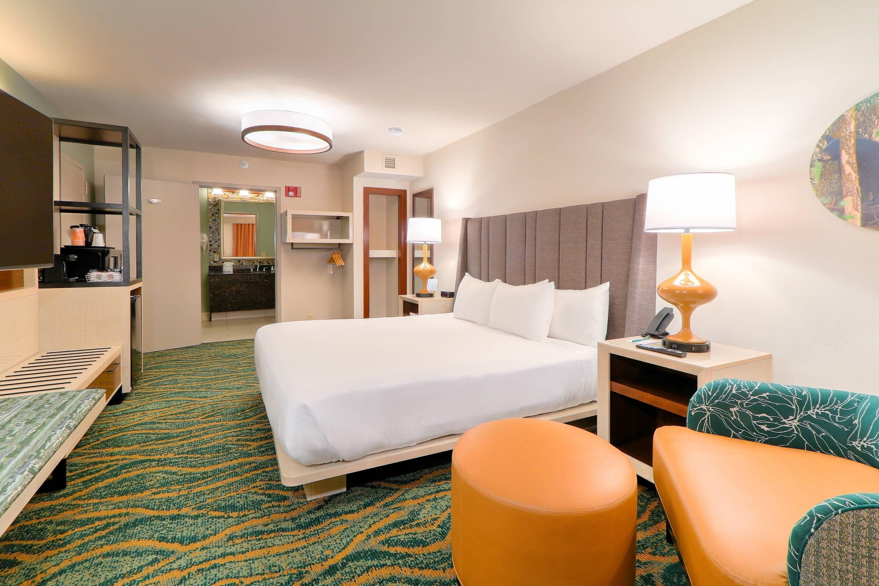 Room, 1 King Bed, Accessible, Non Smoking