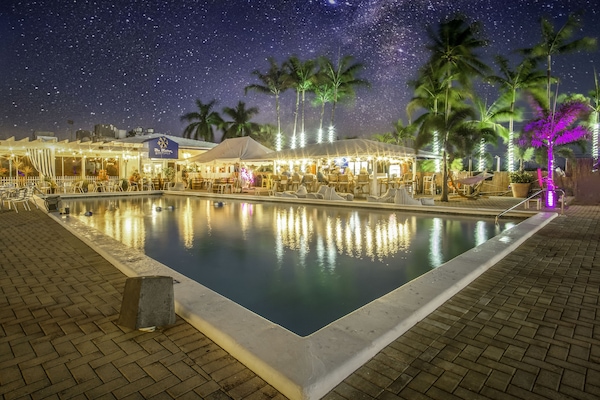Outdoor pool, sun loungers
