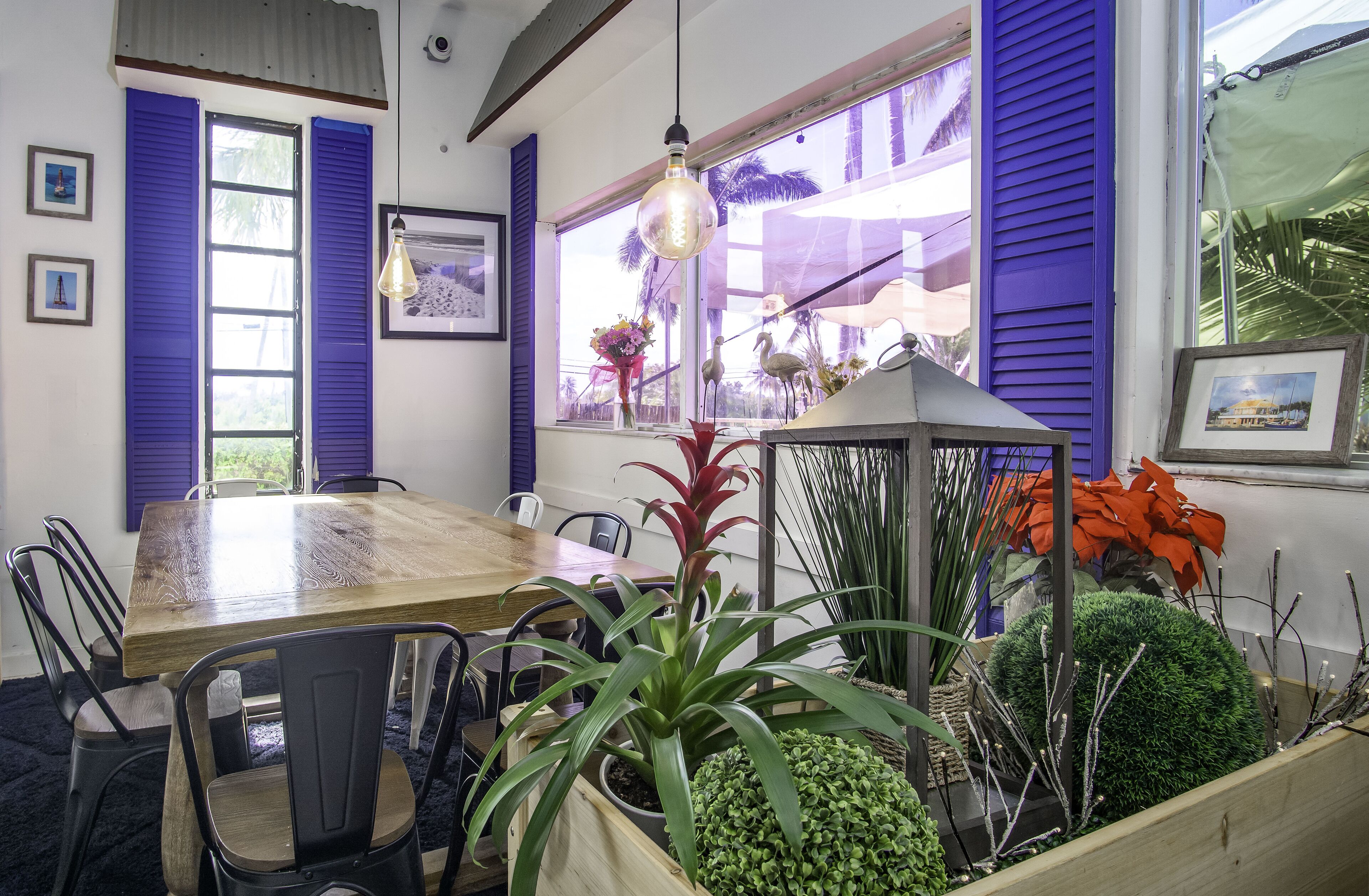 A dining area with a wooden table and chairs, a hanging light fixture, and various potted plants.