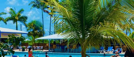 Una piscina al aire libre, sillones reclinables de piscina