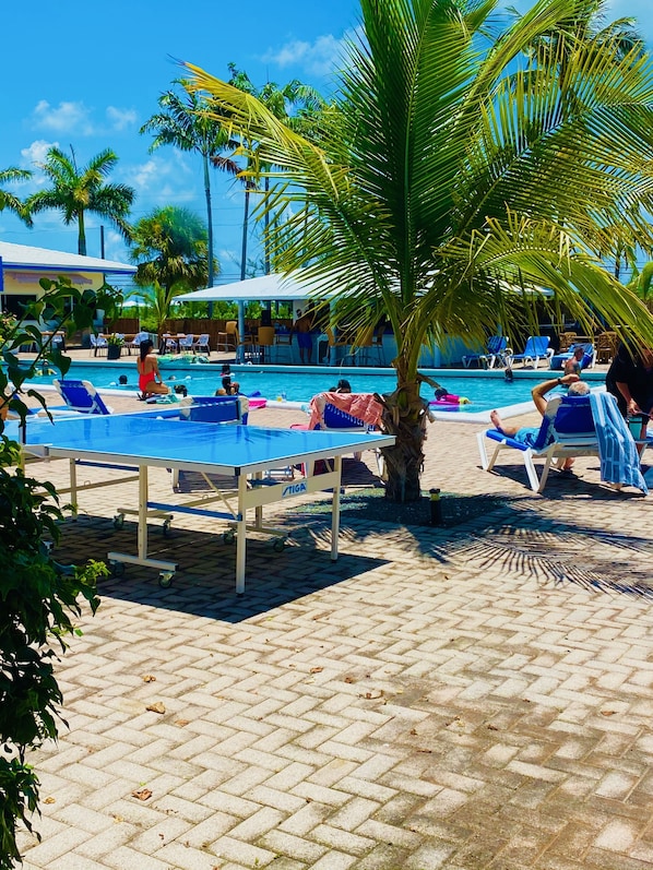 Outdoor pool, sun loungers