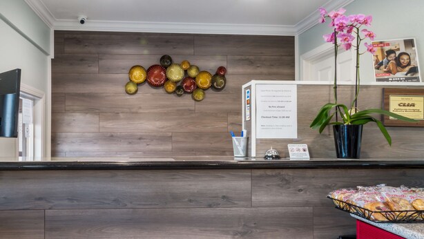 A reception area with a wooden wall, a glass art piece, a potted orchid, and a basket of pastries. - Americas Best Value Inn Santa Rosa, CA (Santa Rosa)