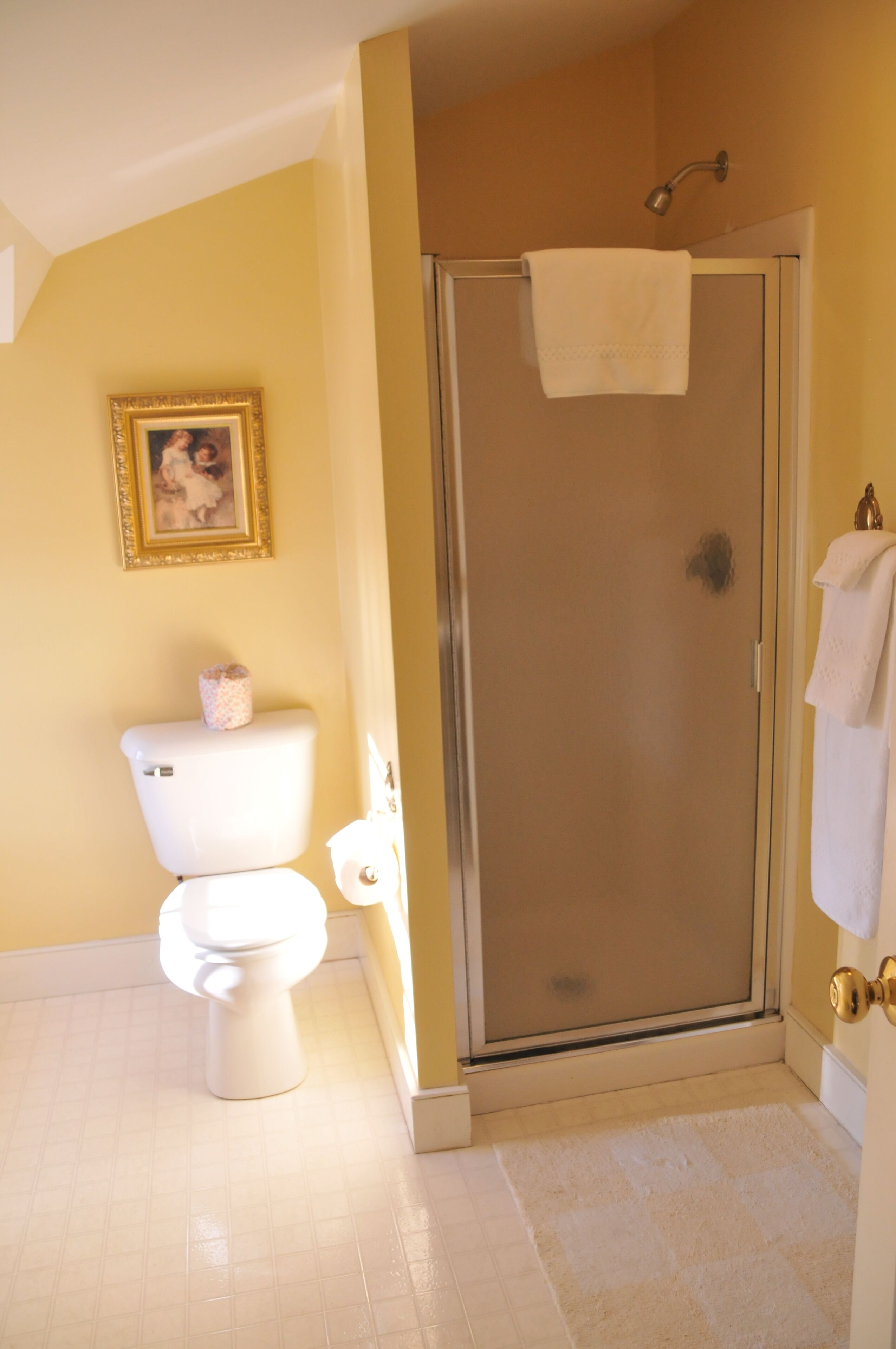 A bathroom with a toilet, a shower with a glass door, and a towel hanging on the wall.
